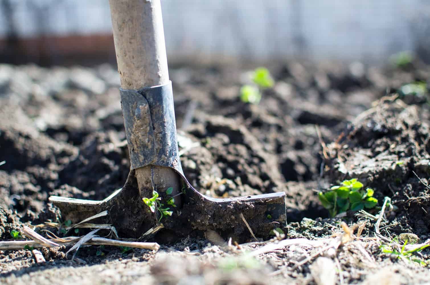 comment faire un jardin potager en permaculture en travaillant le sol 